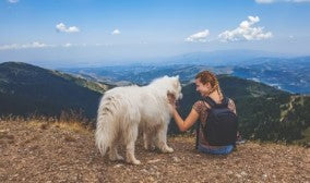 SKINCARE ESSENTIALS FOR TRAVELLING WITH YOUR DOG