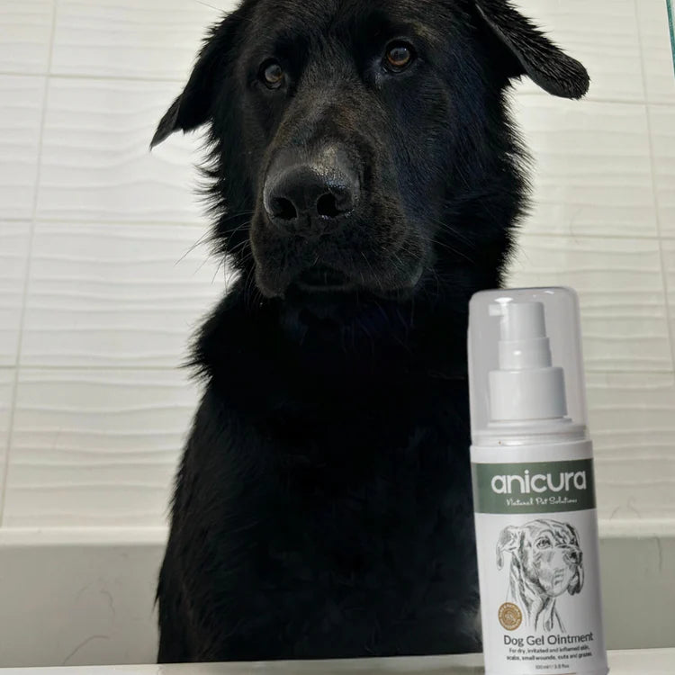 Dog Gel Ointment