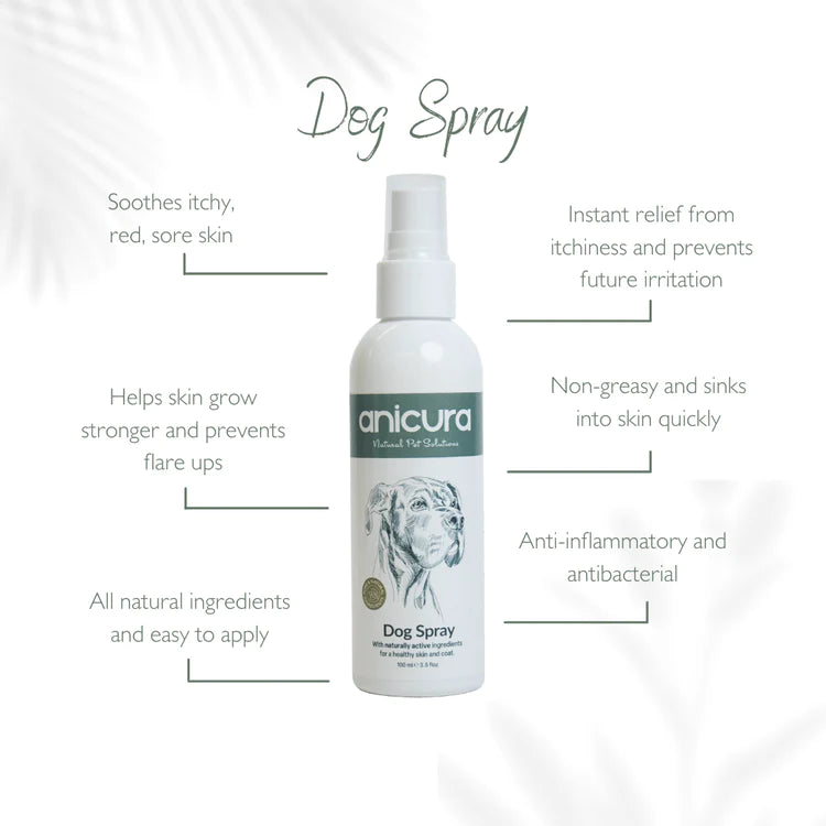 Dry skin sales spray for dogs