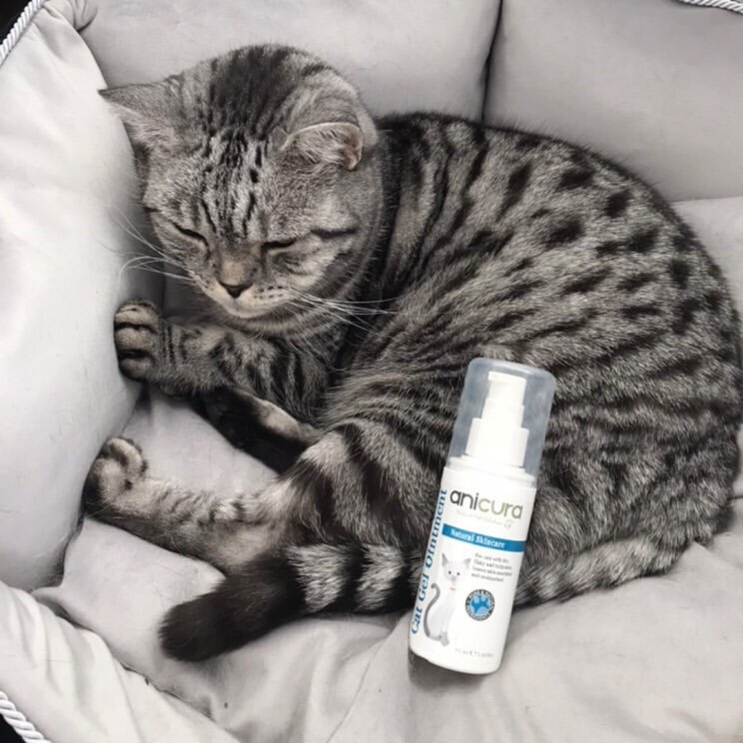 Cat Gel Anicura New Zealand
